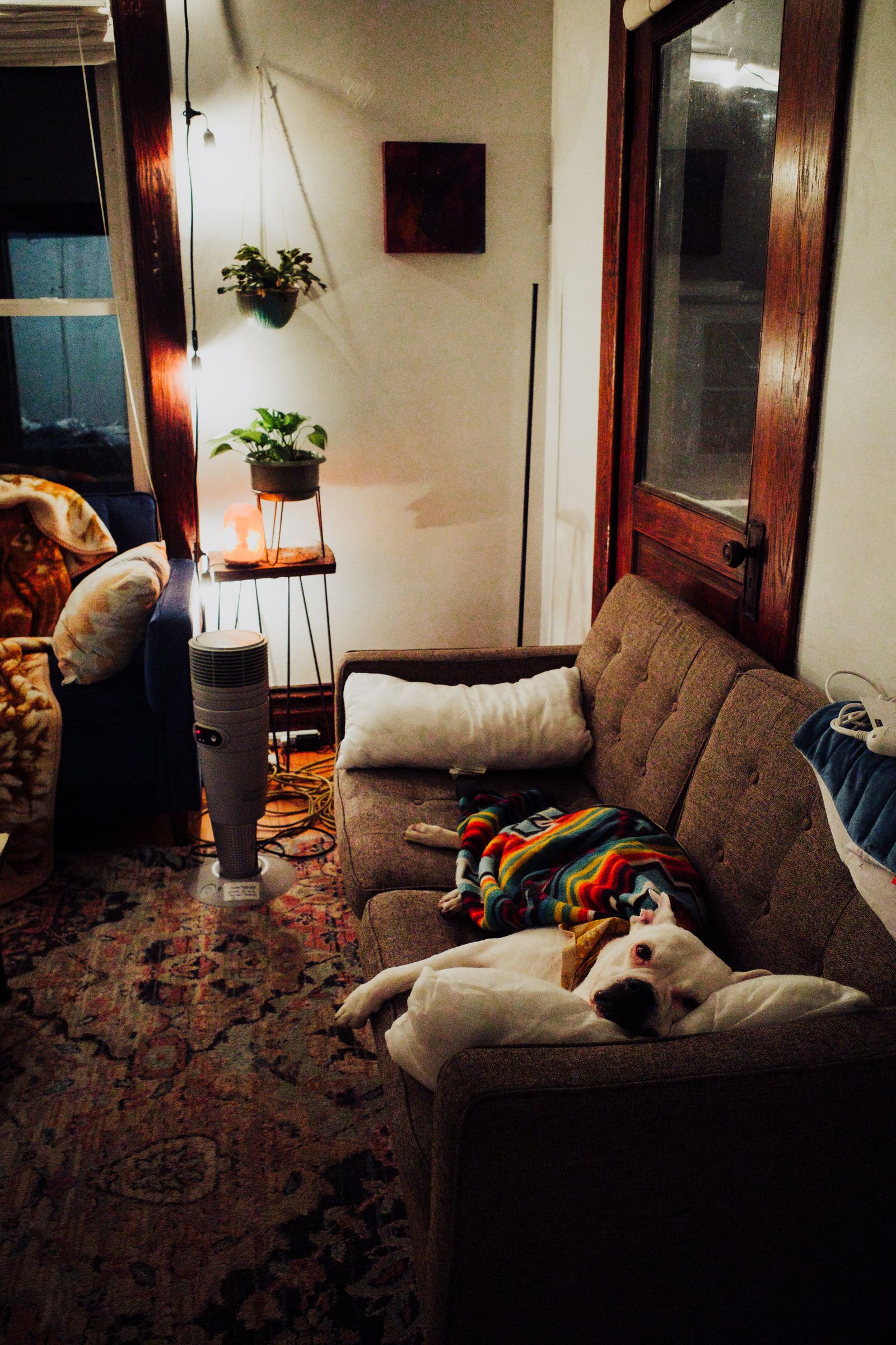 Dog resting at home — photo by Sergiy Galyonkin, CC BY-SA 2.0, via Wikimedia Commons
