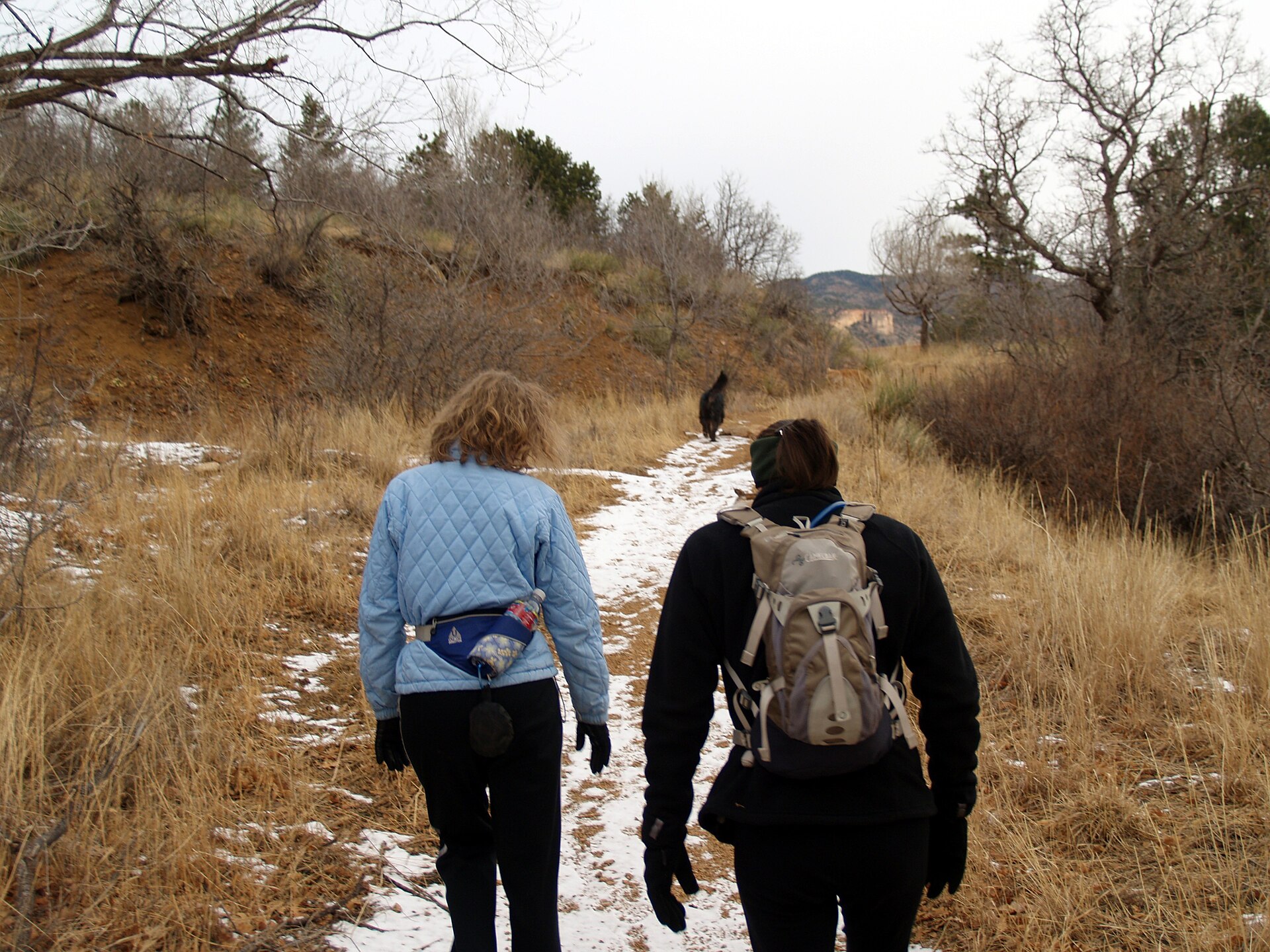 Dog hiking in Manitou Springs — photo by David Shankbone (CC BY 3.0), via Wikimedia Commons